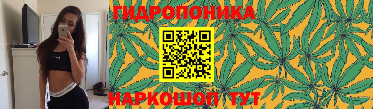 Бошки марихуана Bruce Banner  МАРИХУАНА тримм  Конопля LSD WEED  Ковров  Вход с VPN 